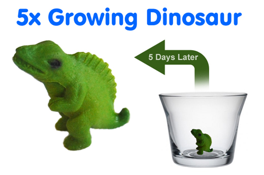 growing dinosaur in water
