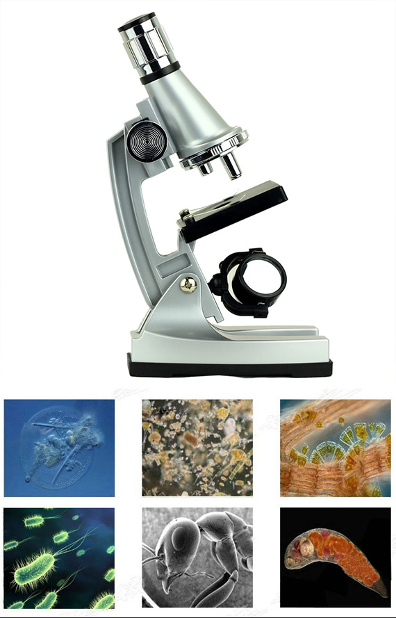 18 Piece Microscope with Discovery Kit