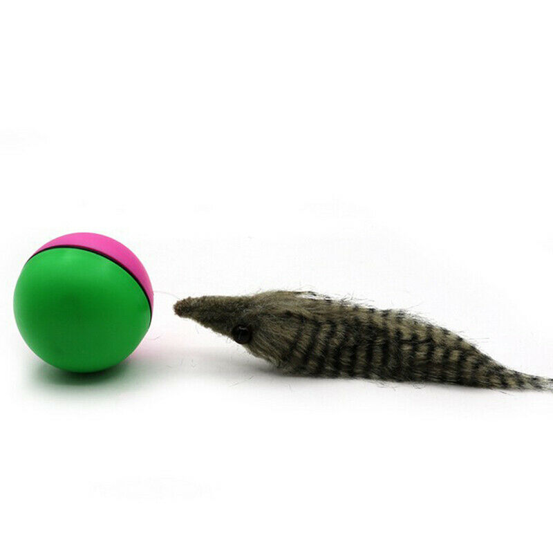 Motorized Wacky Weasel and Ball Cat/Dog Toy