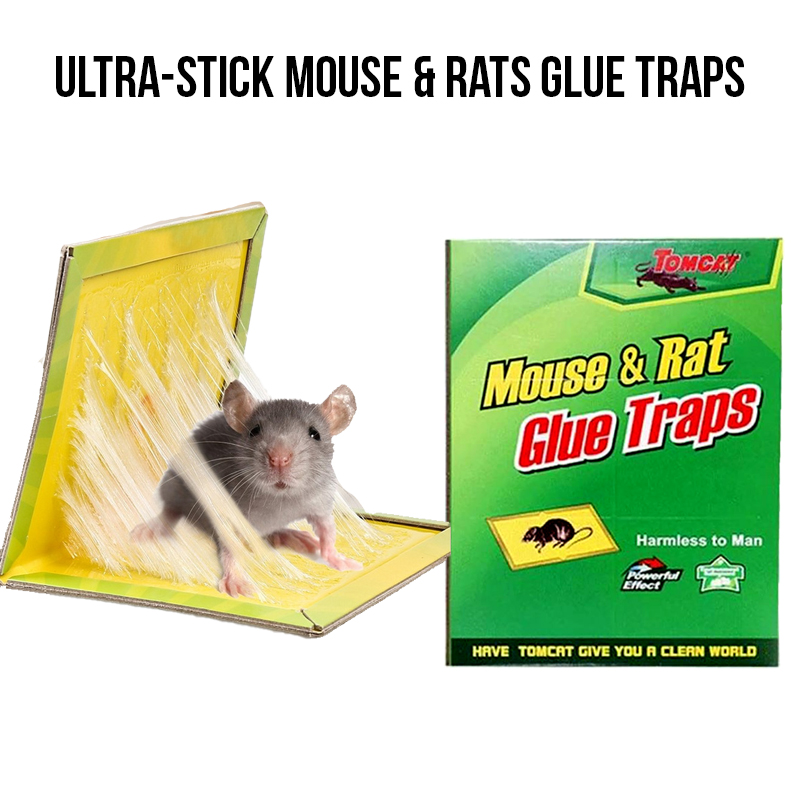 rat and mouse glue