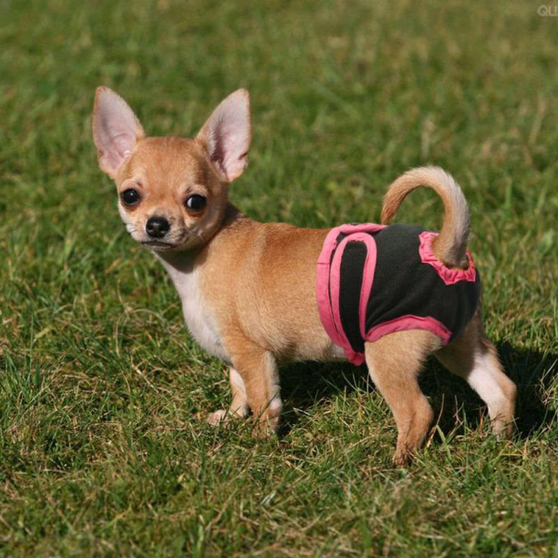 Adjustable Female Dog Puppy Nappy Period Menstrual Heat Season Pants Hygiene 