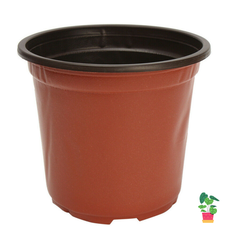 100 PCS Plastic Plant Flower Pots 4 sizes Nursery Seedlings Container Flowerpot