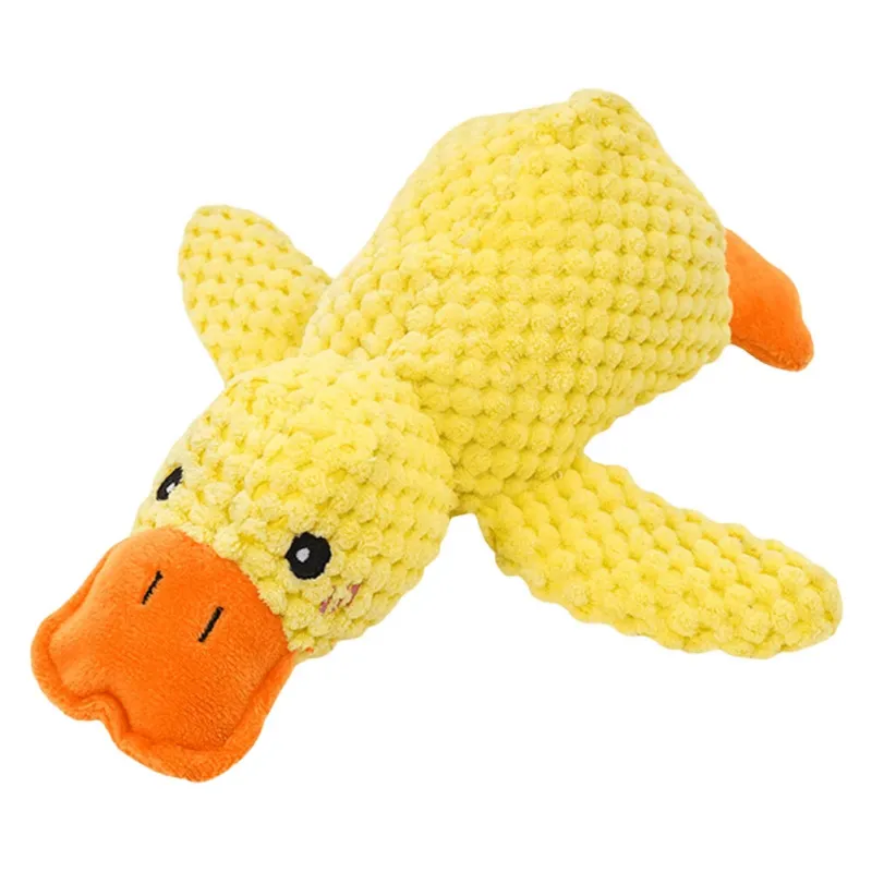fly