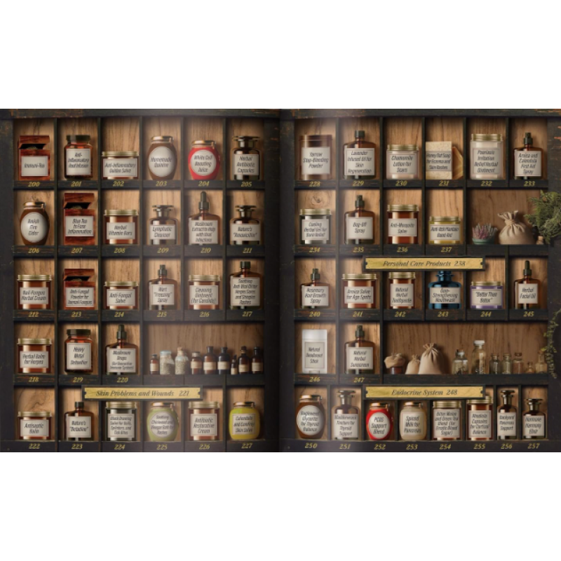 Forgotten Home Apothecary : 250 Powerful Remedies at Your Fingertips