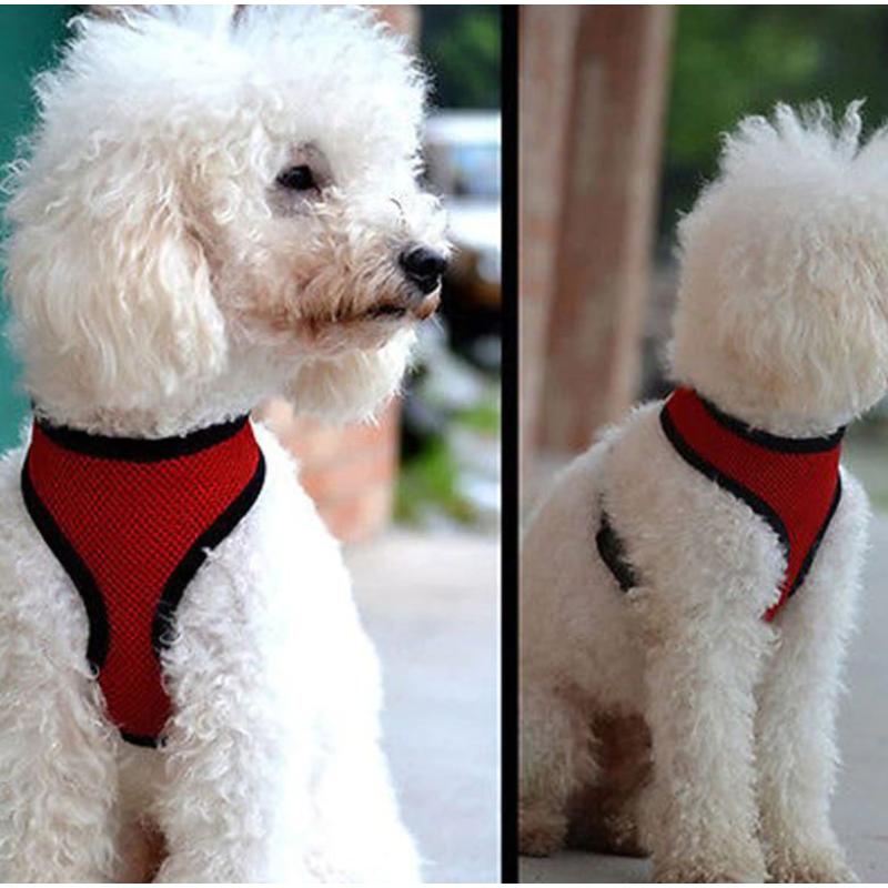 Pet Dog Cat Puppy Soft Leash VEST Mesh Breathe Adjustable Harness Braces Clothes